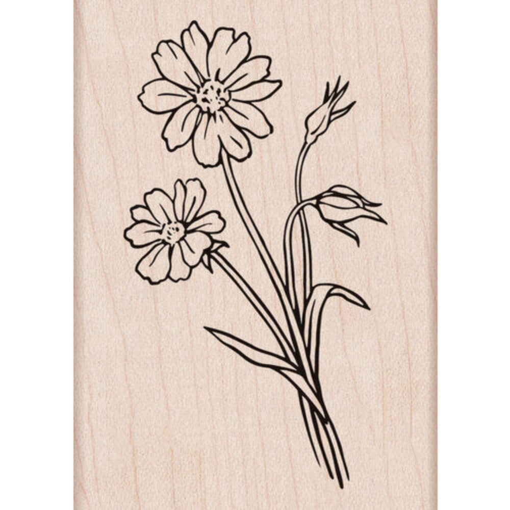 HERO ARTS STAMP- WILD FLOWER
