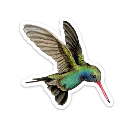 VINYL STICKER - CHINNED HUMMINGBIRD