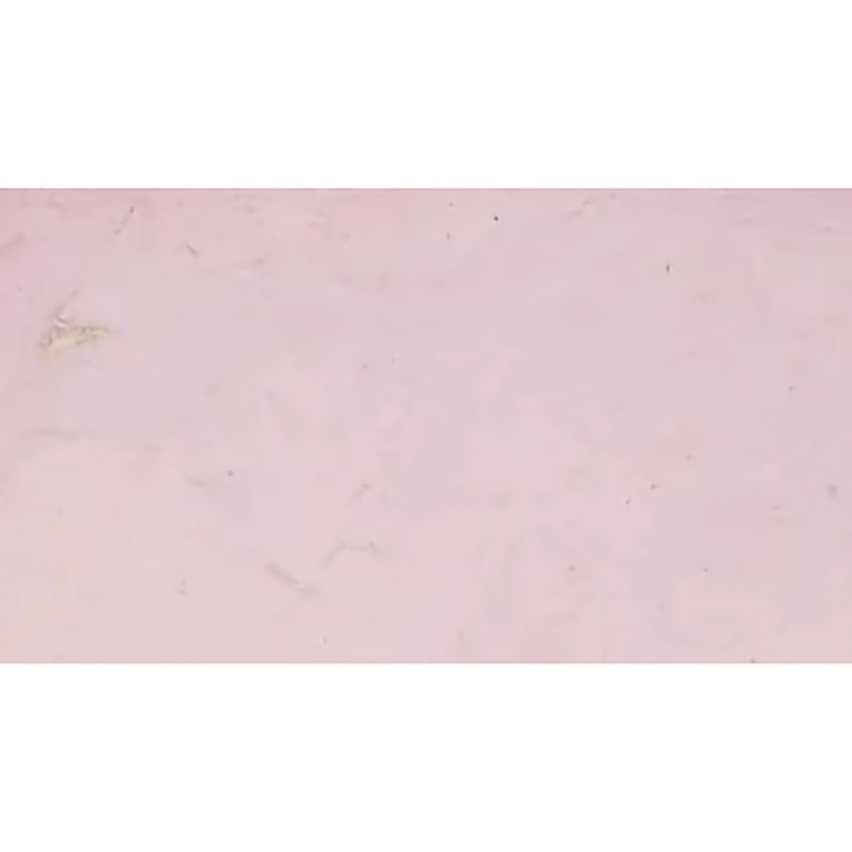 LOKTA 19.5&quot;x29.5&quot; GLICINE