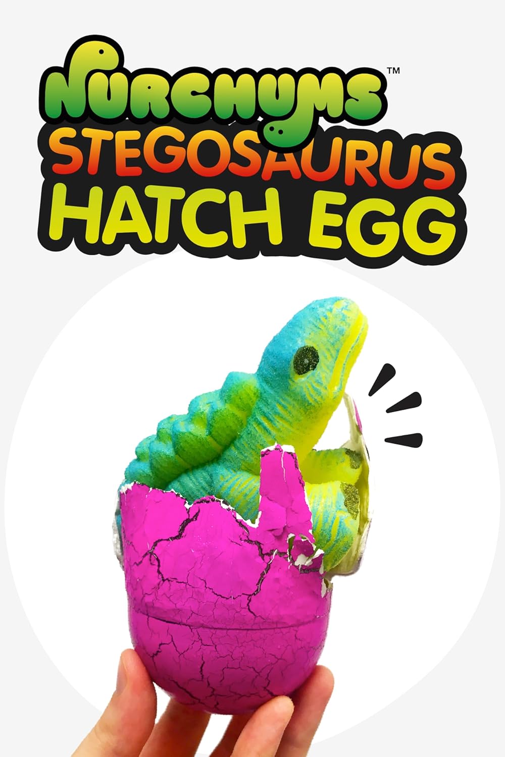DINOSAUR HATCHING EGGS (LARGE) - STEGOSAURUS, TRICERATOPS, T-REX