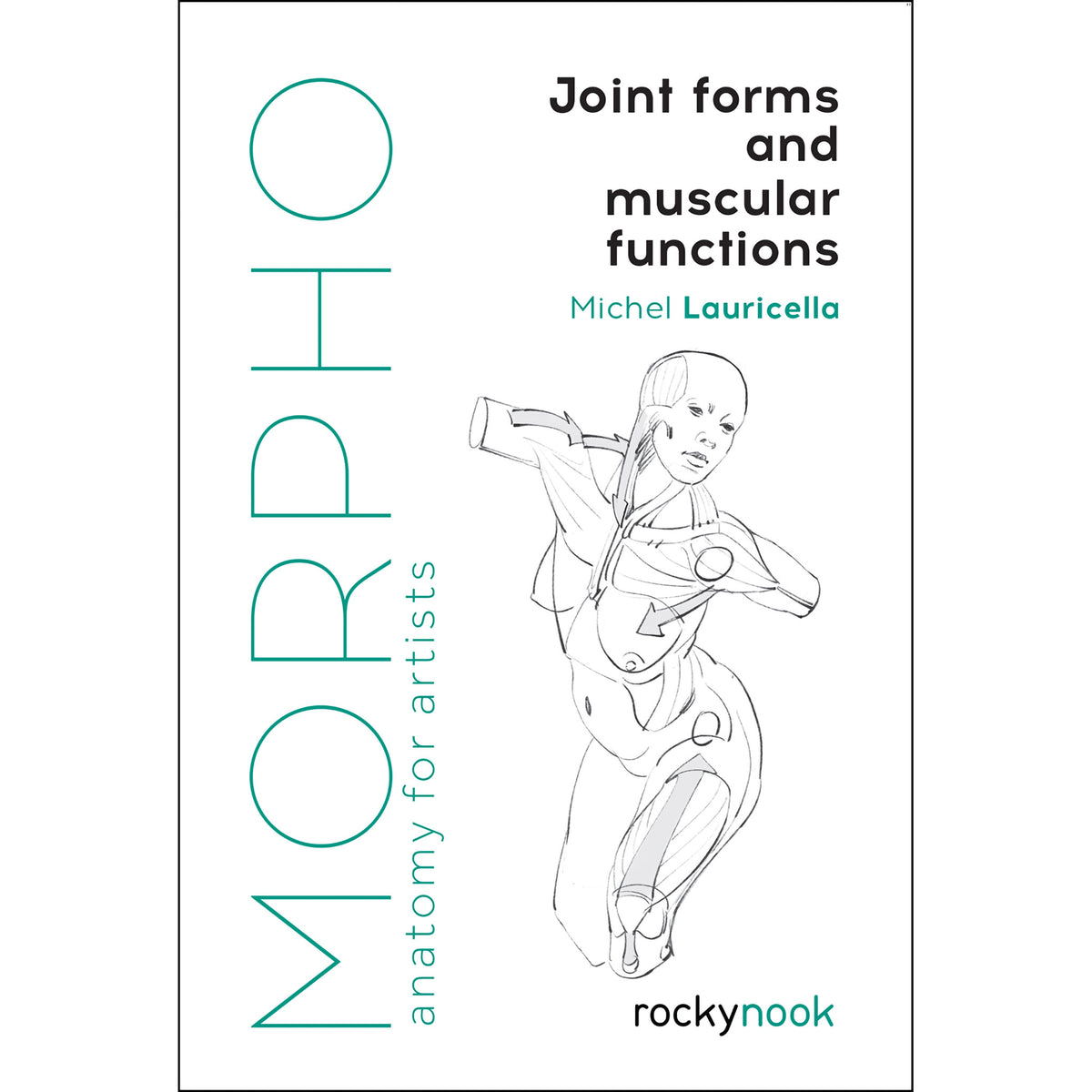 MORPHO: JOINT FORMS AND MUSCULAR FUNCTIONS