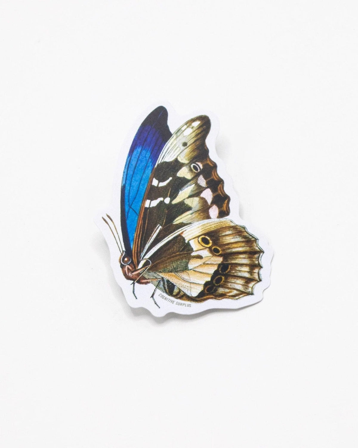 SCIENCE STICKER - BUTTERFLY