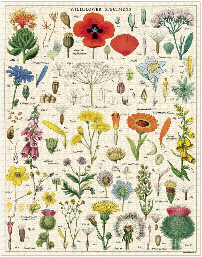 1000 PIECE VINTAGE PUZZLE - WILDFLOWERS