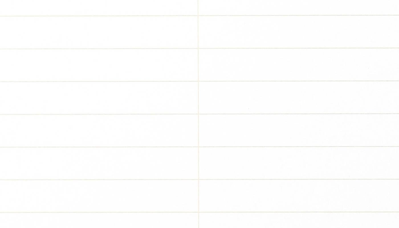 FIELD NOTES SINGLE STENO GREGG - RULED PAPER 80 PAGES