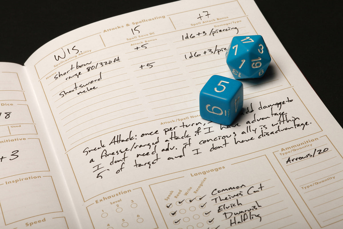 FIELD NOTES DUNGEONS &amp; DRAGONS 5E CHARACTER JOURNALS 2PACK