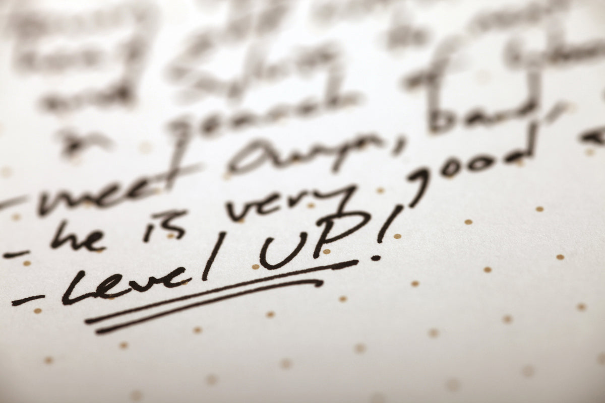 FIELD NOTES DUNGEONS &amp; DRAGONS 5E CHARACTER JOURNALS 2PACK