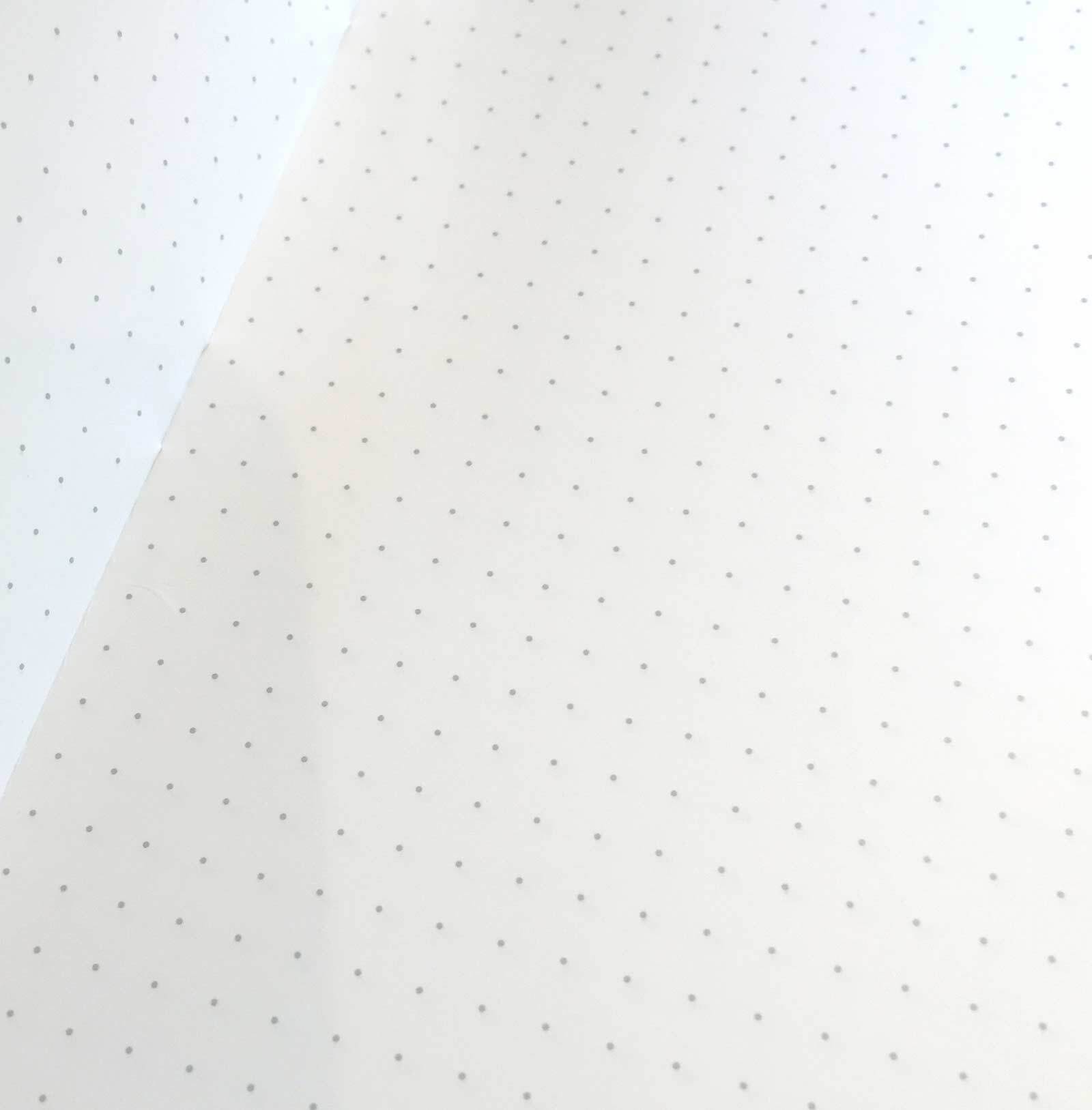 FIELD NOTES, EXPEDITION 3PACK MEMO BOOK (DOT GRAPH PAPER)