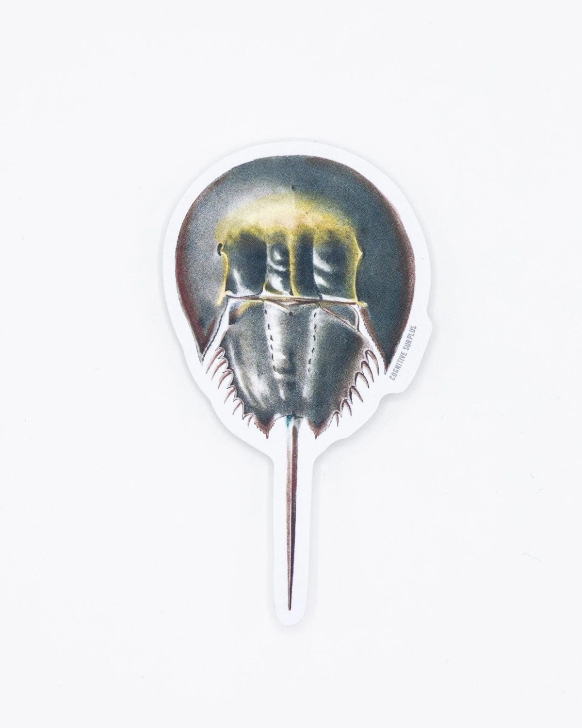 SCIENCE STICKER - HORSESHOE CRAB