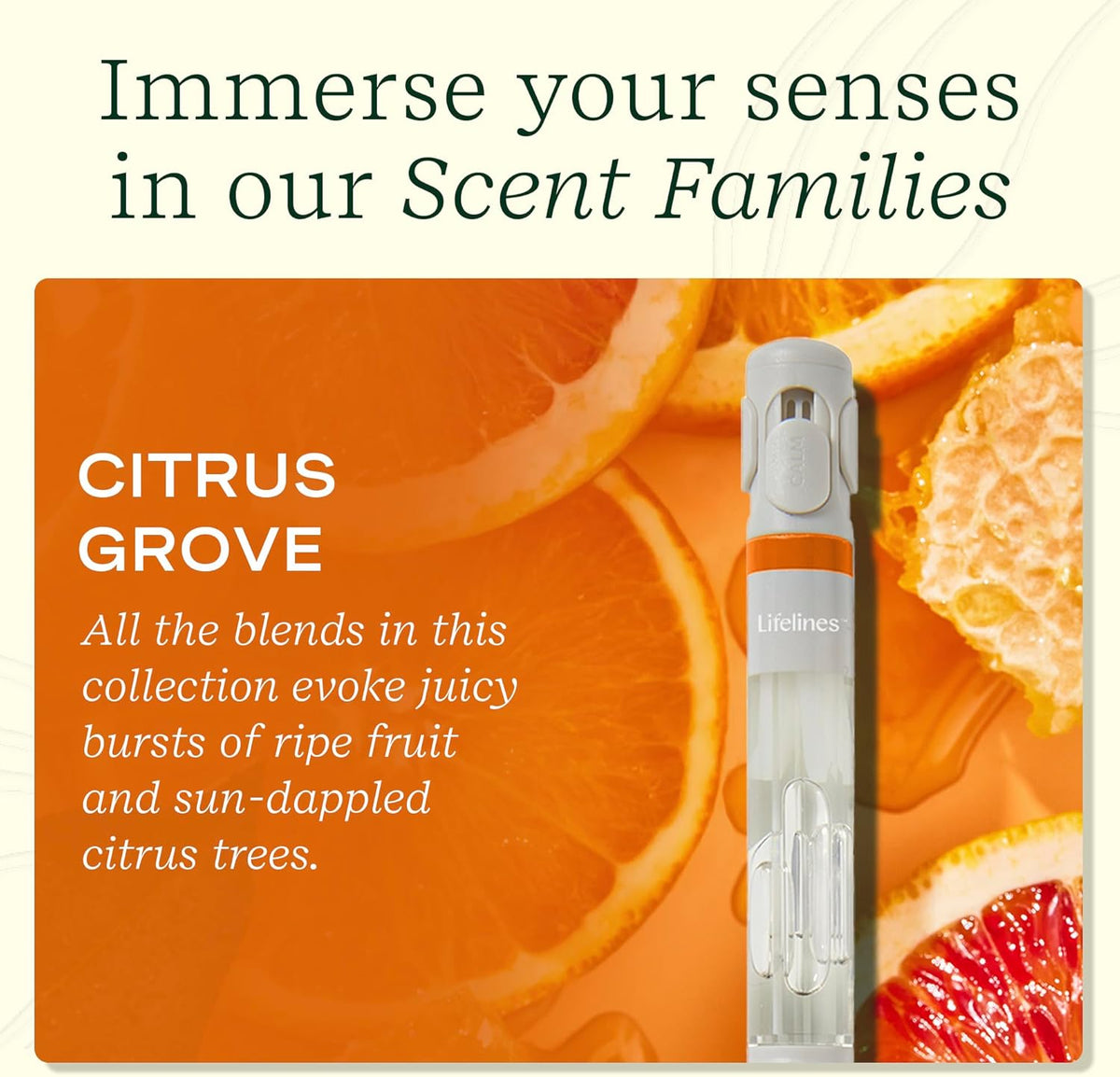 LIFELINES - PEN DIFFUSER CLASSICS , CITRUS GROVE