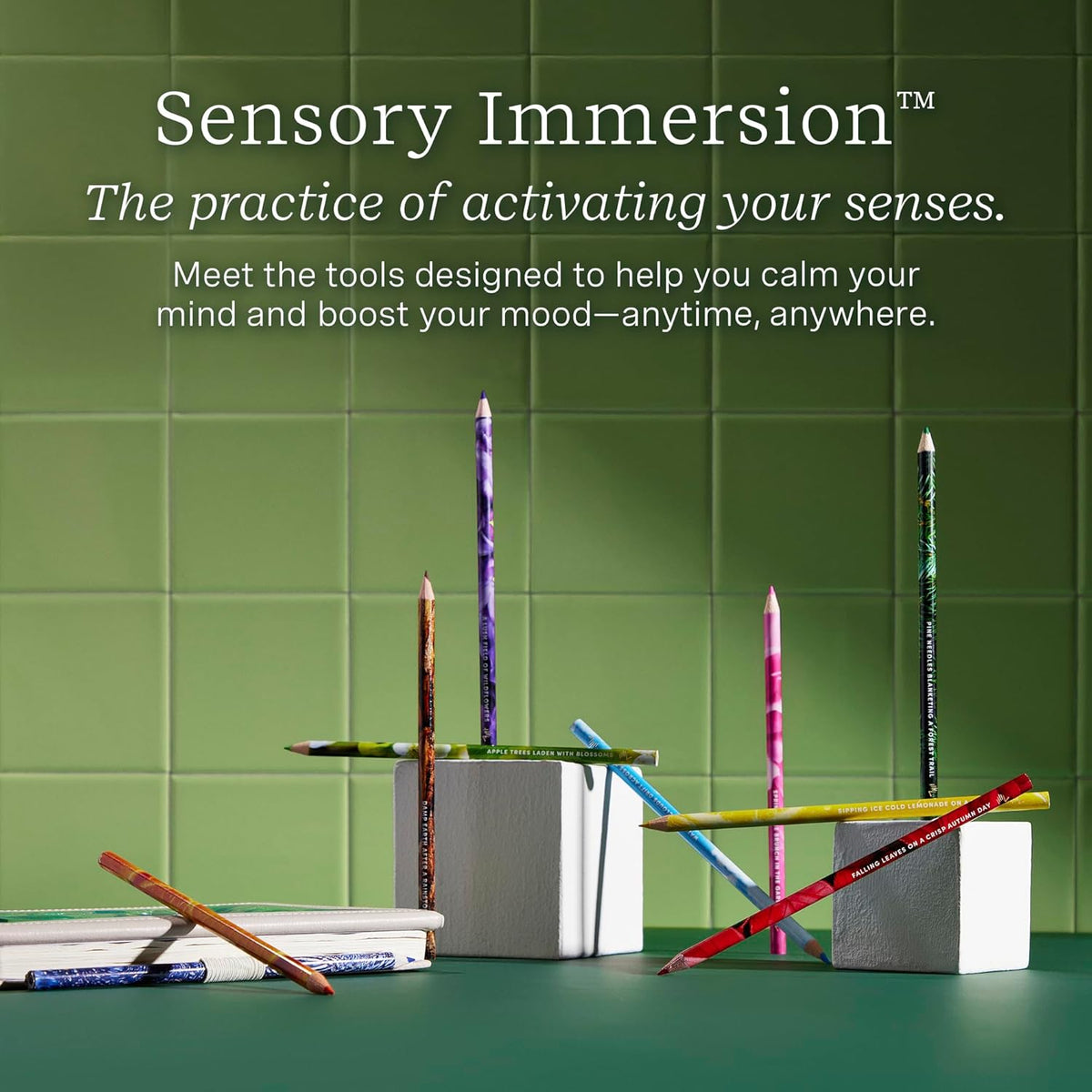 LIFELINES - SCENTED COLORED PENCILS, 10 PACK