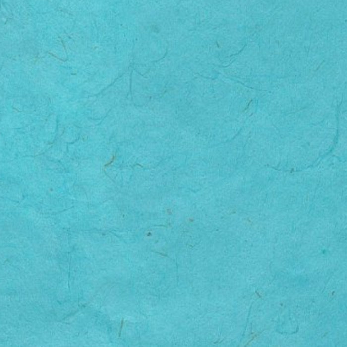 LOKTA - ROBIN EGG SWATCH