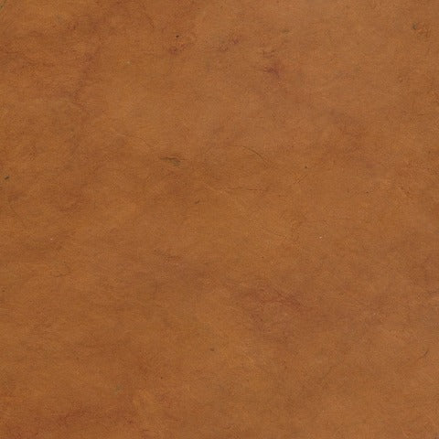 LOKTA AMBER