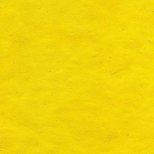 LOKTA BRIGHT YELLOW
