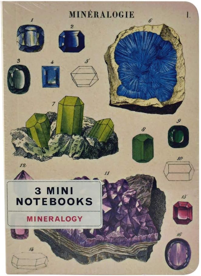 MINI NOTEBOOKS MINERALOGY SET/3