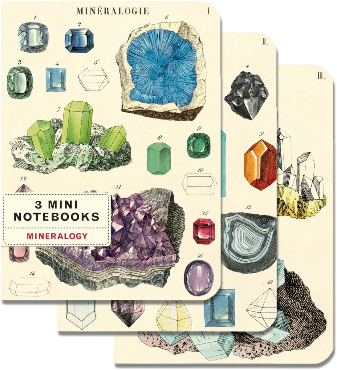MINI NOTEBOOKS MINERALOGY SET/3