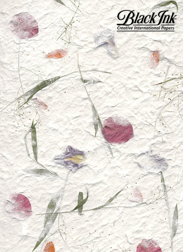 MULBERRY- GARDEN IRIS/ MARIGOLD