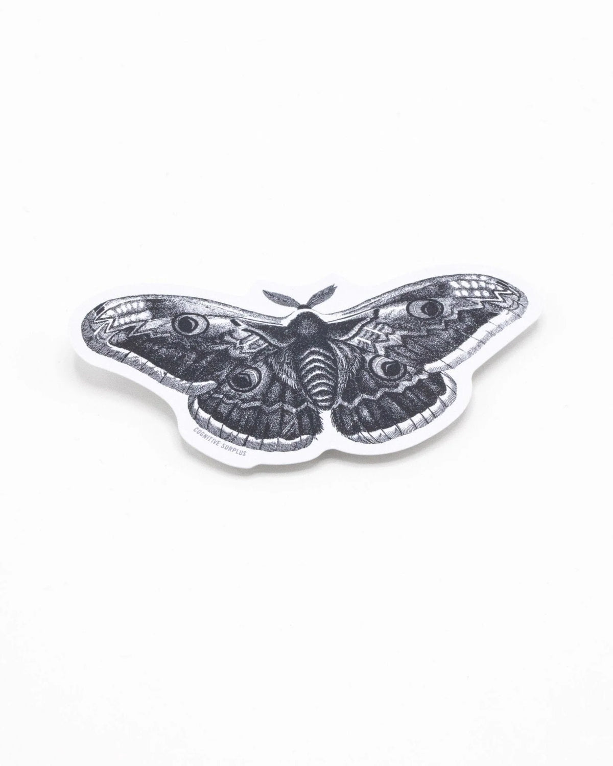 SCIENCE STICKER - MOTH