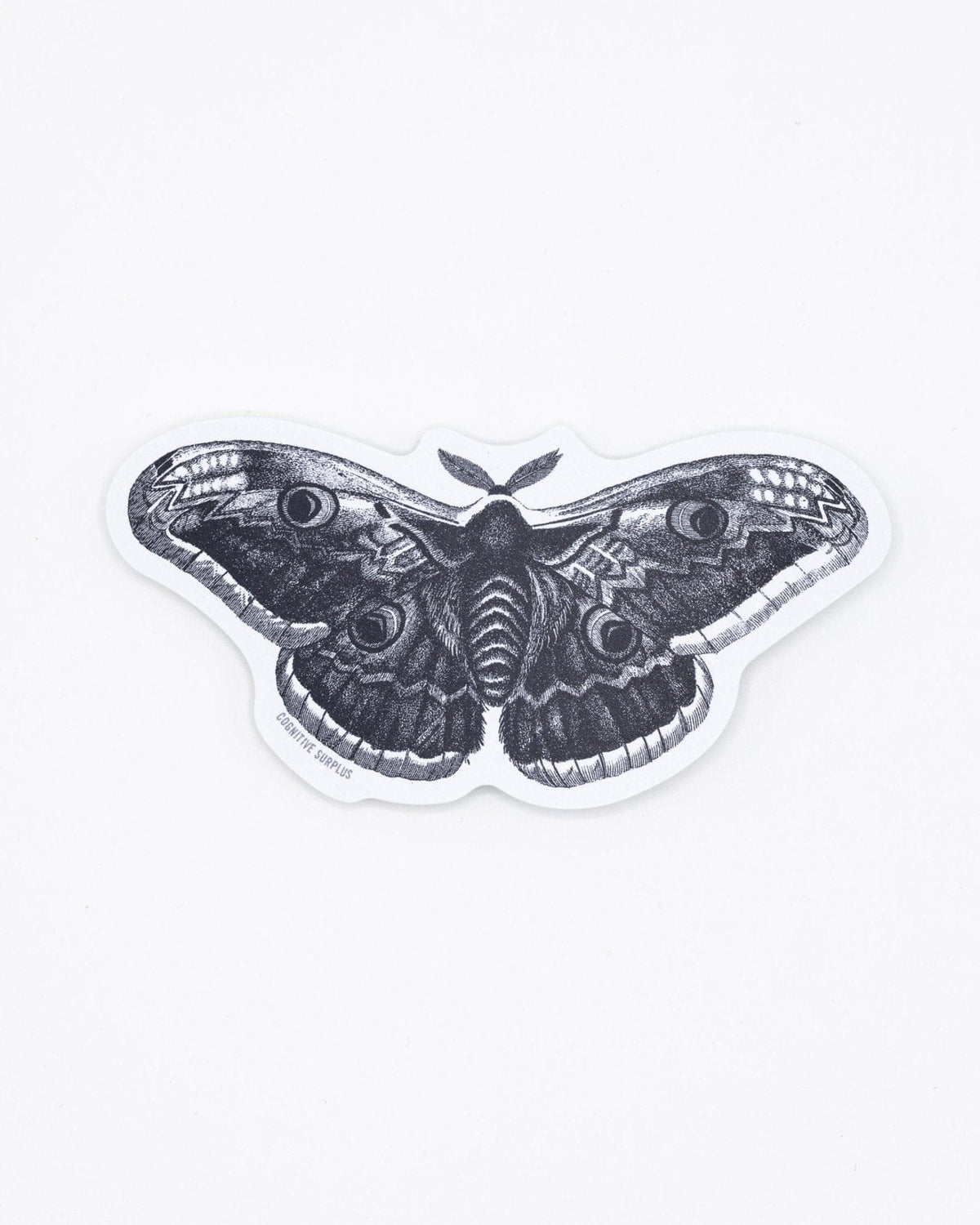 SCIENCE STICKER - MOTH