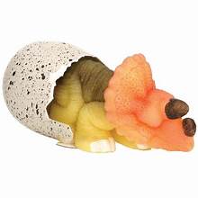 DINOSAUR HATCHING EGGS (LARGE) - STEGOSAURUS, TRICERATOPS, T-REX