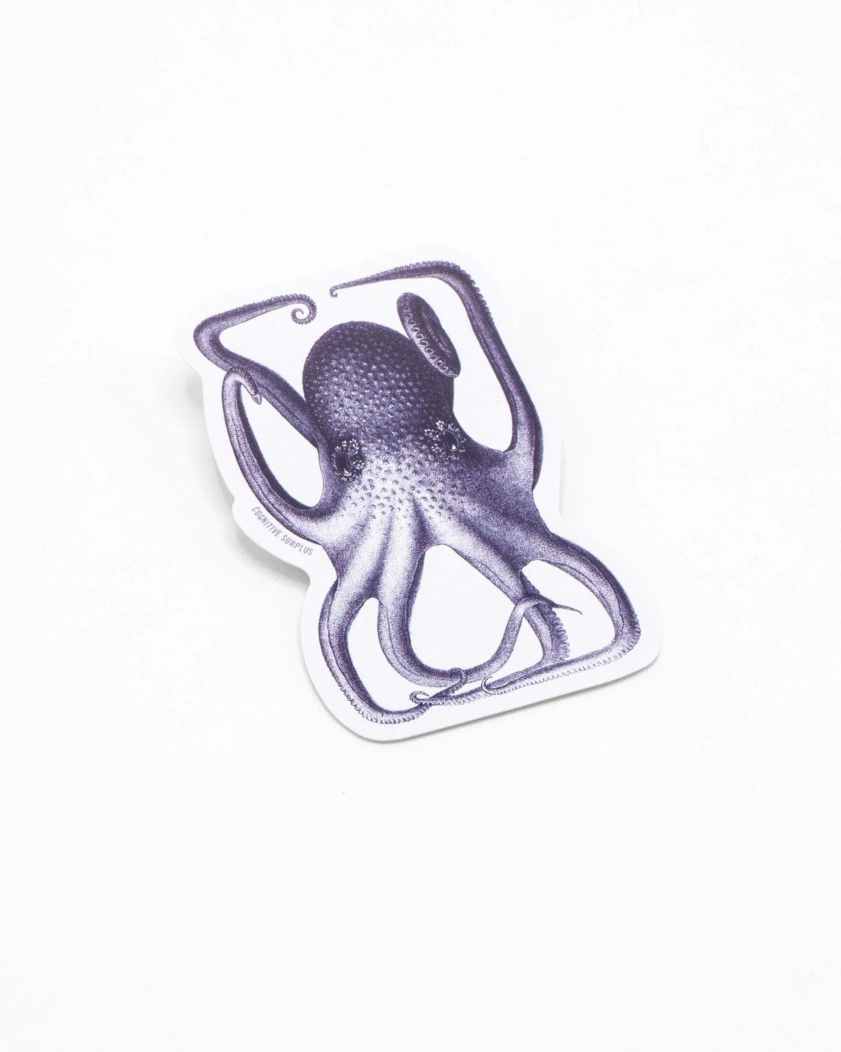 SCIENCE STICKER - OCTOPUS IN A BOX