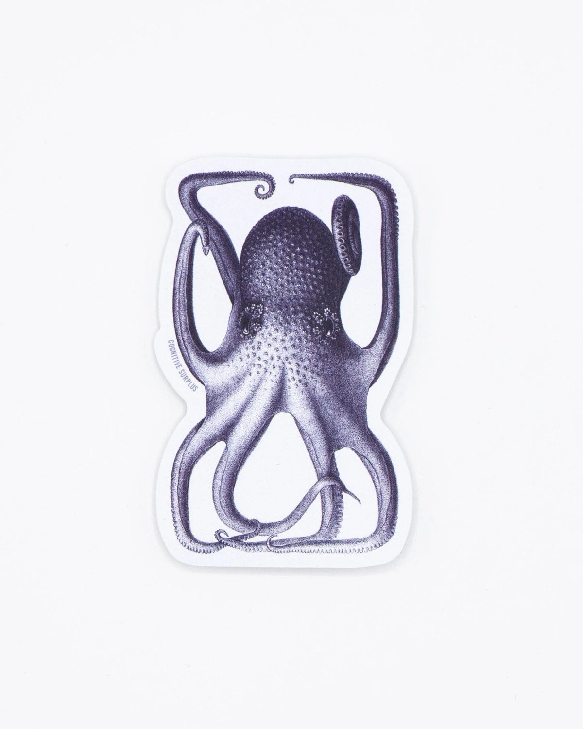 SCIENCE STICKER - OCTOPUS IN A BOX