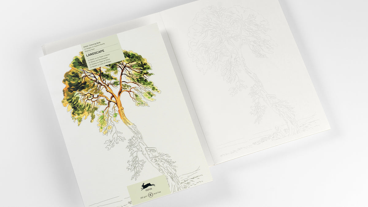 ARTIST'S COLORING BOOK- LANDSCAPE ARTISTS