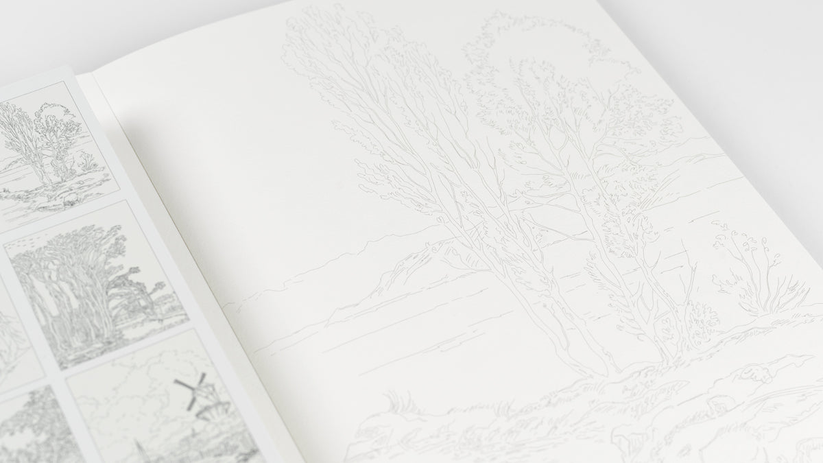ARTIST'S COLORING BOOK- LANDSCAPE ARTISTS