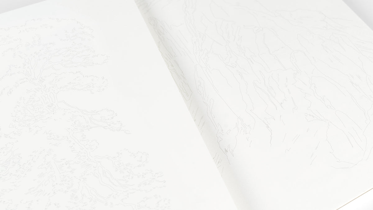 ARTIST'S COLORING BOOK- LANDSCAPE ARTISTS
