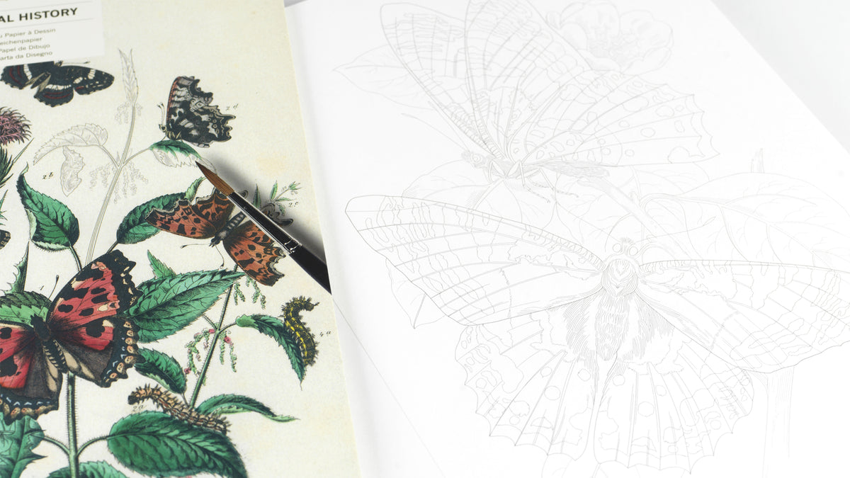 ARTIST'S COLORING BOOK- NATURAL HISTORY ARTISTS