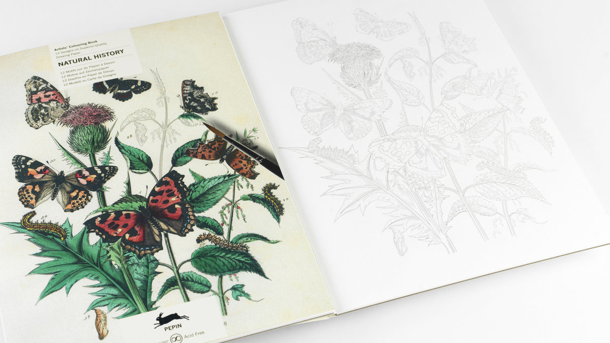 ARTIST'S COLORING BOOK- NATURAL HISTORY ARTISTS