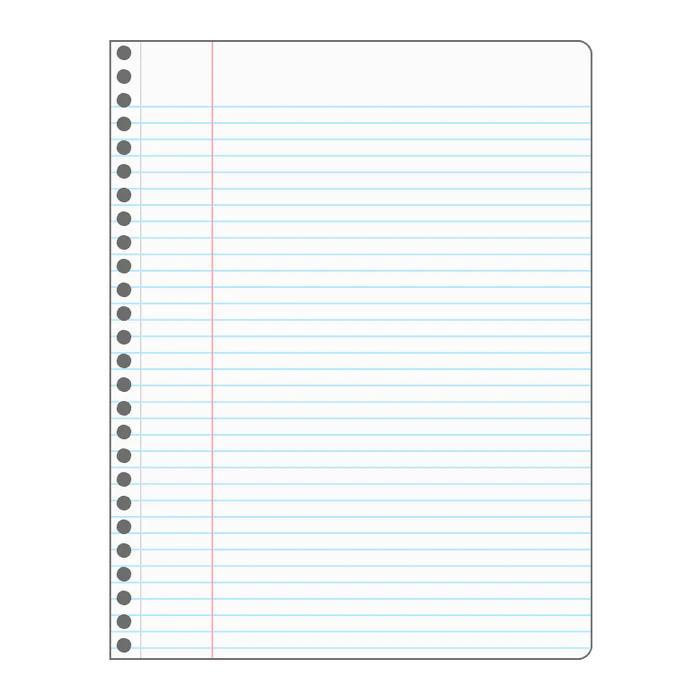 DECOMPOSITION BOOK SPIRAL BOUGAINVILLEA