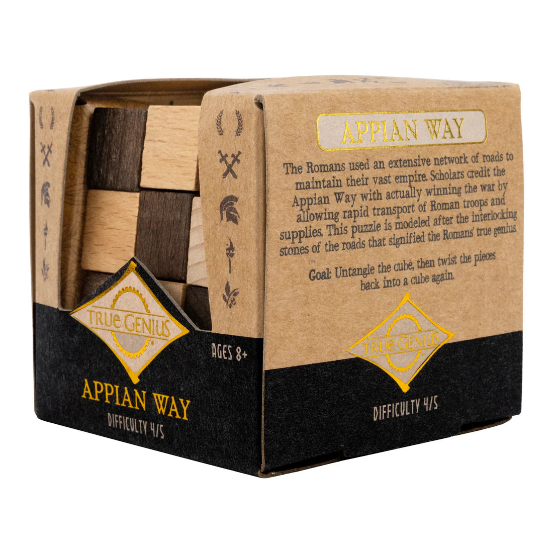 TRUE GENIUS - APPIAN WAY ROMAN CUBE PUZZLE