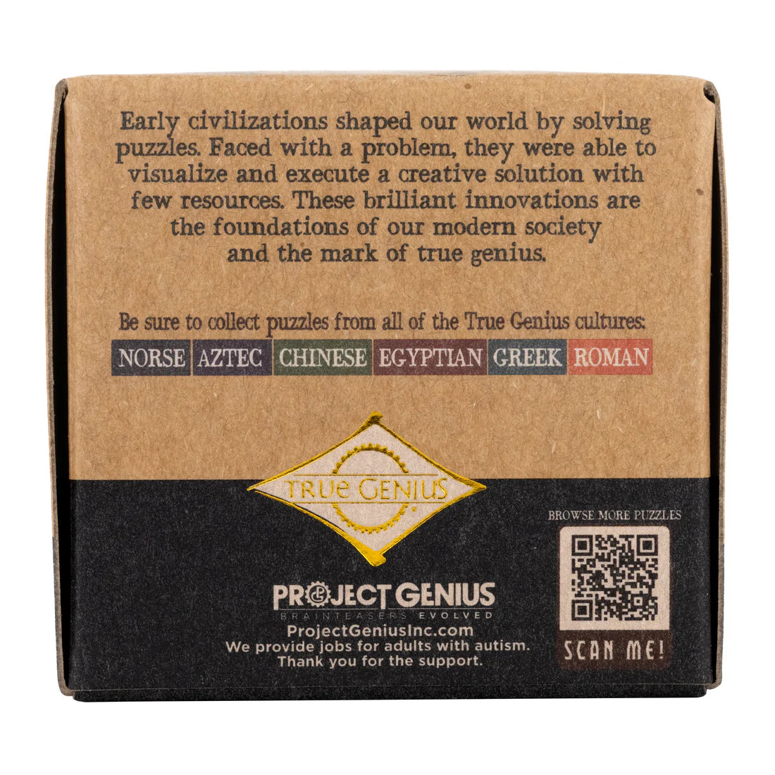 TRUE GENIUS - MOSAIC TILE INTERLOCKING WOODEN BRAINTEASER