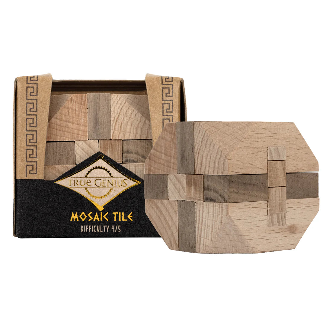 TRUE GENIUS - MOSAIC TILE INTERLOCKING WOODEN BRAINTEASER