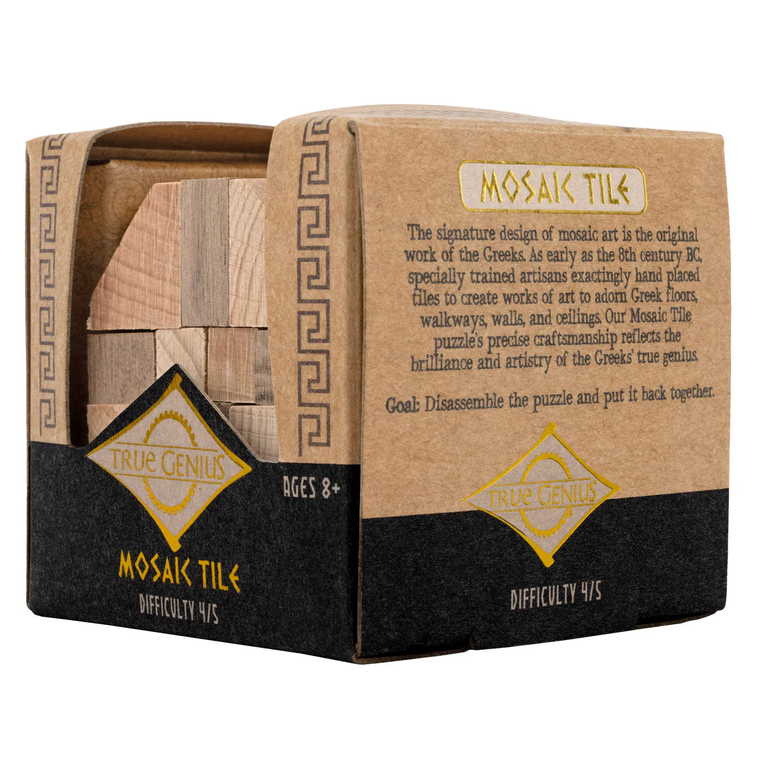 TRUE GENIUS - MOSAIC TILE INTERLOCKING WOODEN BRAINTEASER