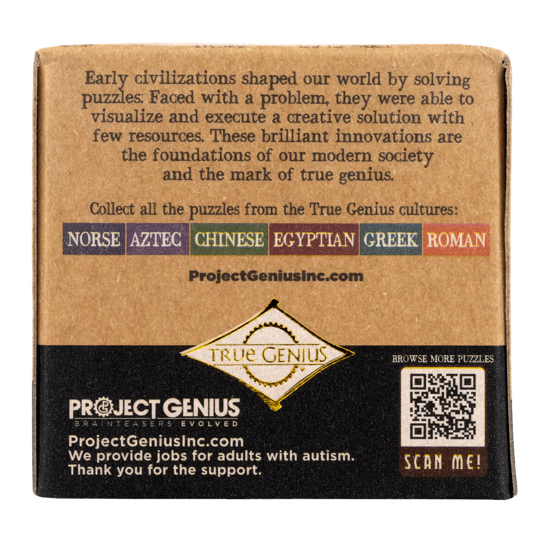 TRUE GENIUS  - ROMAN ARCHES INTERLOCKING METAL PUZZLE