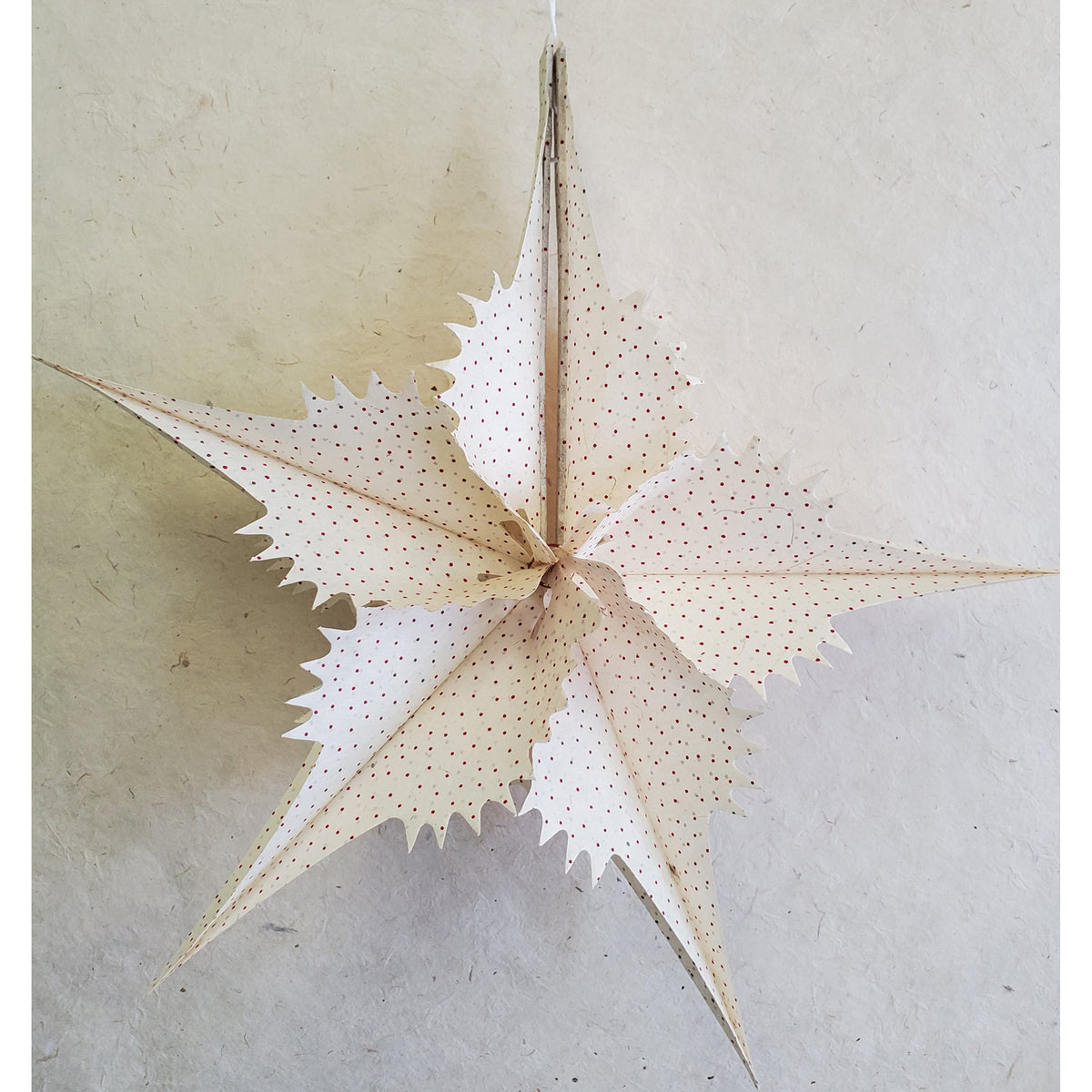 NAPALI 3D STAR 13&quot; DOT