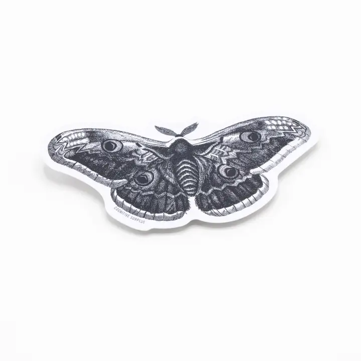 SCIENCE STICKER - MOTH