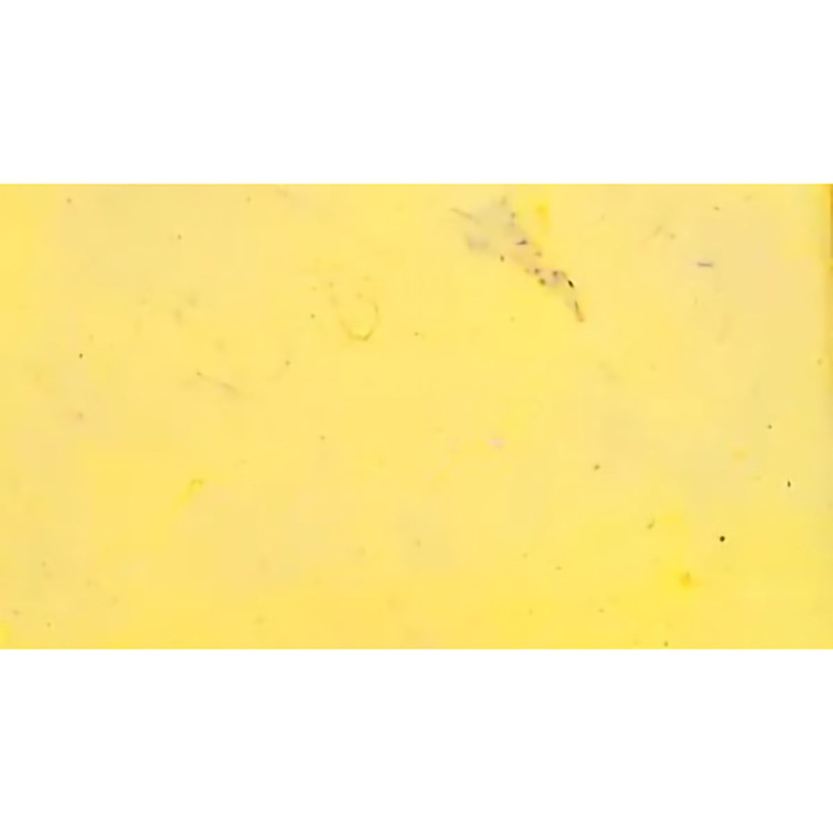 LOKTA 19.5&quot;x29.5&quot; GHEE