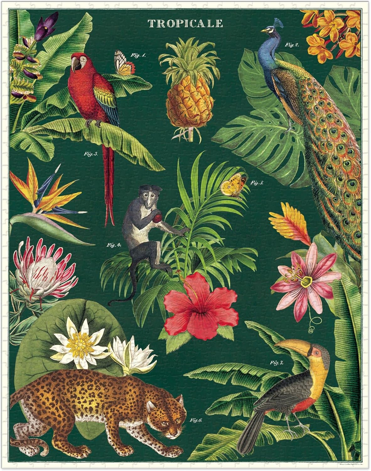1000 PIECE VINTAGE PUZZLE - TROPICALE