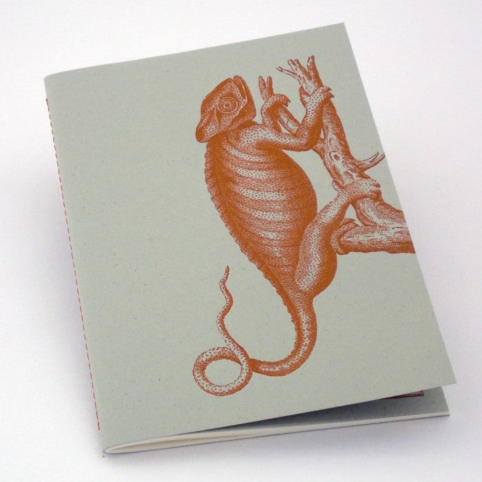 OLD STYLE CAHIER NOTEBOOK A5 CHAMELEON