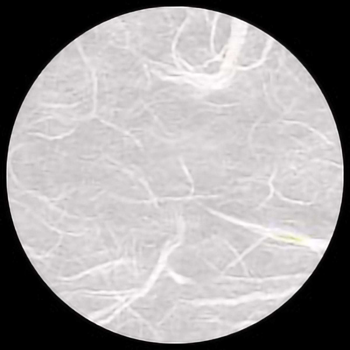 UNRYU - WHITE 25g/m2