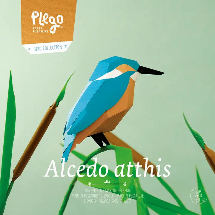 ALCEDO ATTHIS PAPER FIGURE