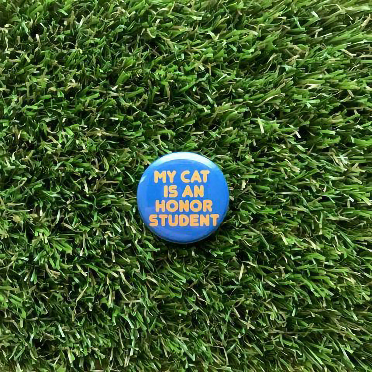 DDD BUTTON PIN - MY CAT IS AN HONOR STUDENT