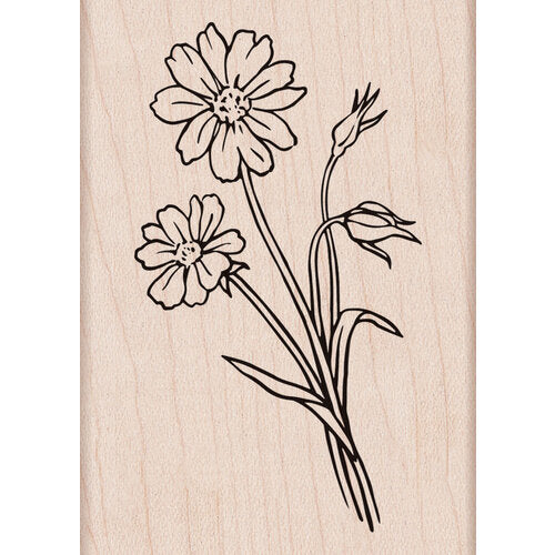 HERO ARTS STAMP- WILD FLOWER