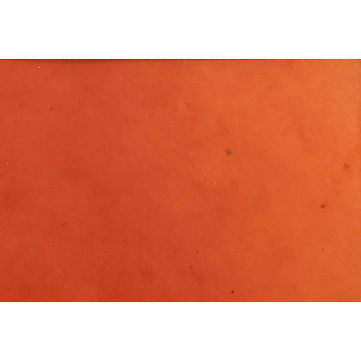 LOKTA 19.5&quot;x29.5&quot; MONARCH