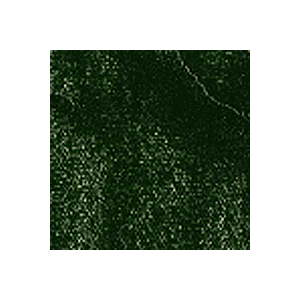 GAMBLIN ARTIST'S OIL COLOR SAP GREEN 37ml