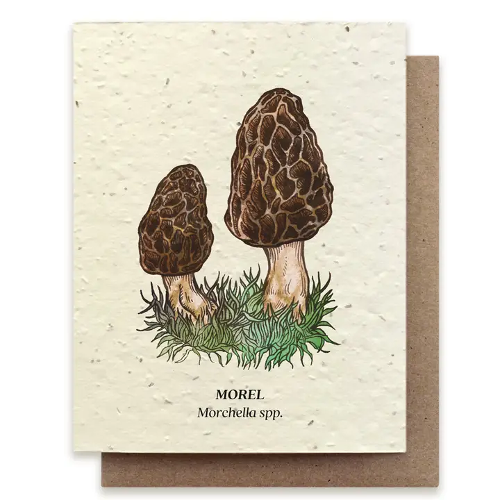 PLANTABLE SEED CARD -MOREL MUSHROOM