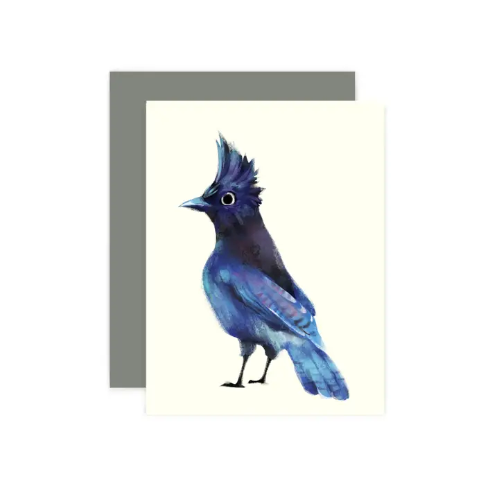ILLUSTRATION CARD STELLER&#39;S JAY BIRD