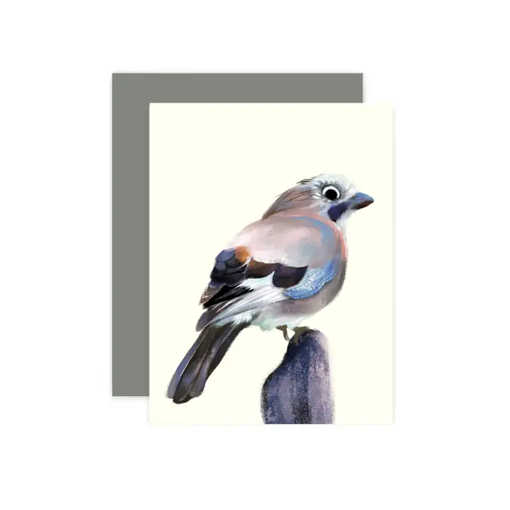 ILLUSTRATION CARD GARRULUS GLANDARIUS BIRD
